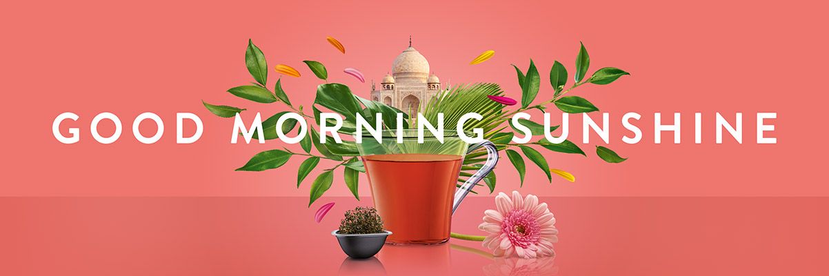 Good Morning Sunshine