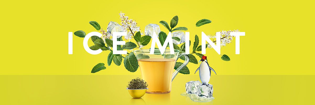 Ice Mint