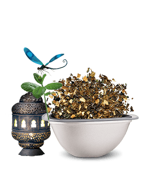 Avis de notre expert