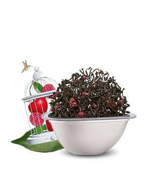 Avis de notre expert