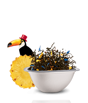 Avis de notre expert