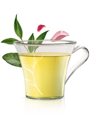 GRÜNER TEE