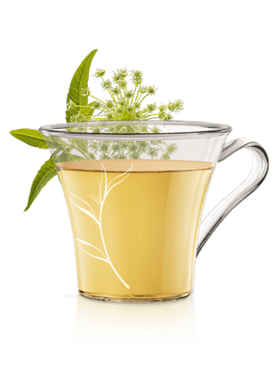 KR&Auml;UTER- UND FR&Uuml;CHTETEE